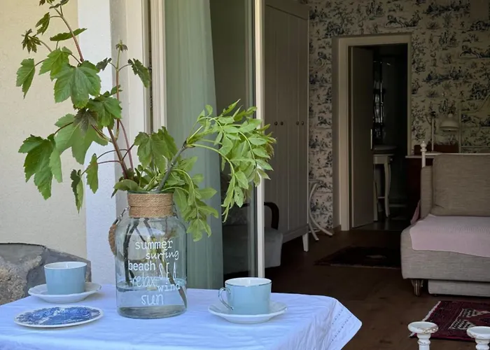 Historical In The Heart Of 公寓